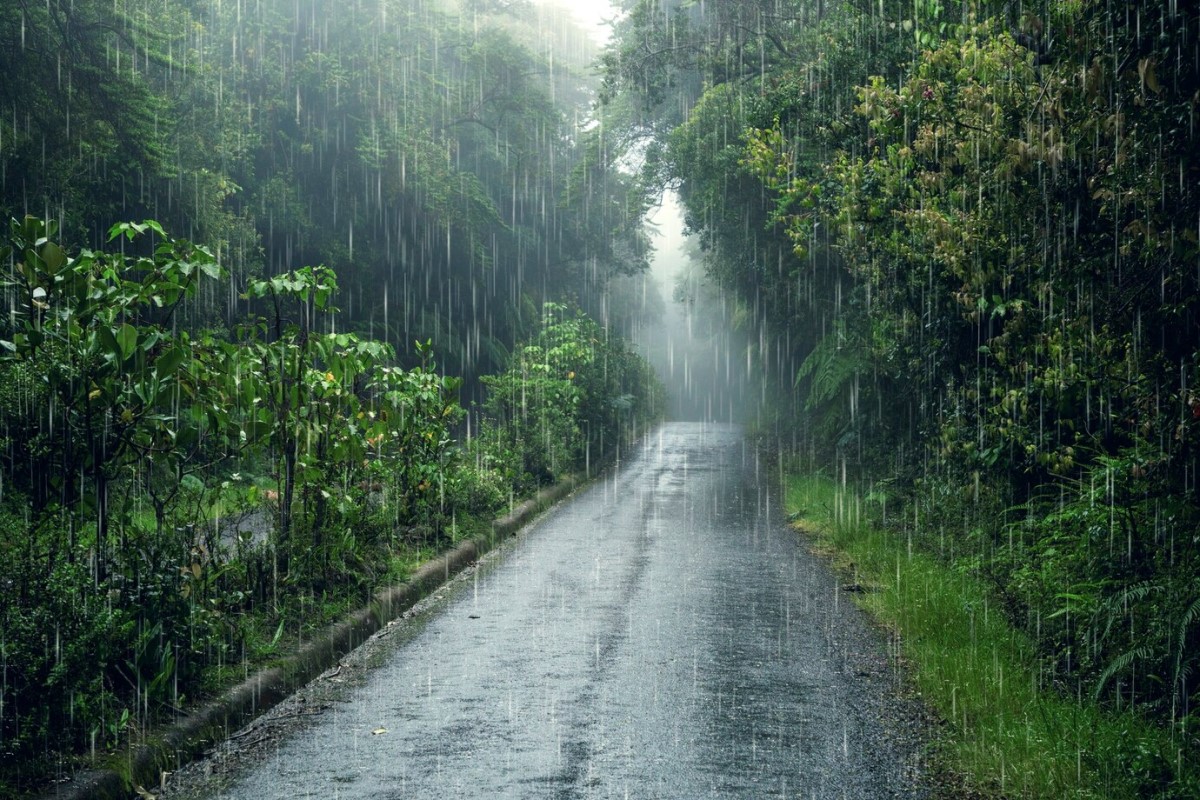 Berpotensi Hujan, Ini Prakiraan Cuaca di Jambi 6-8 Mei 2024 Menurut BMKG