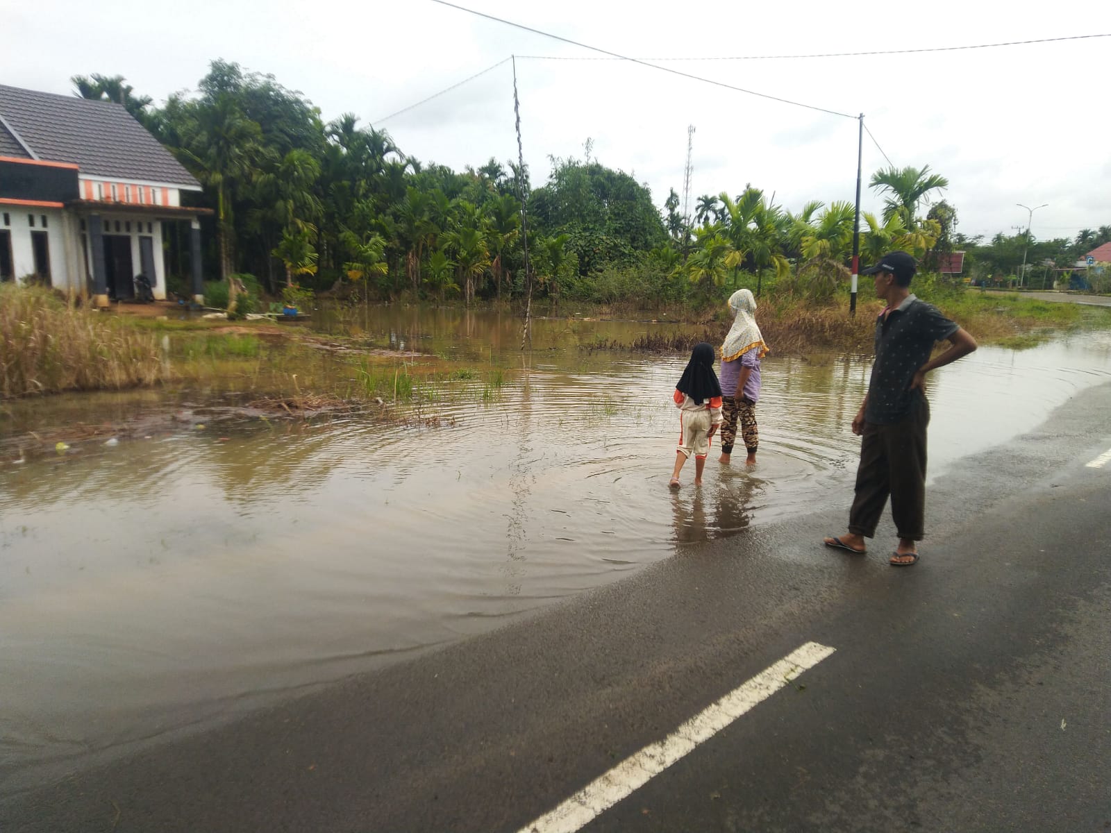 Sudah Banjir 3 Hari, Ular dan Kalajengking Sering Masuk Rumah Warga di Tanjab Timur