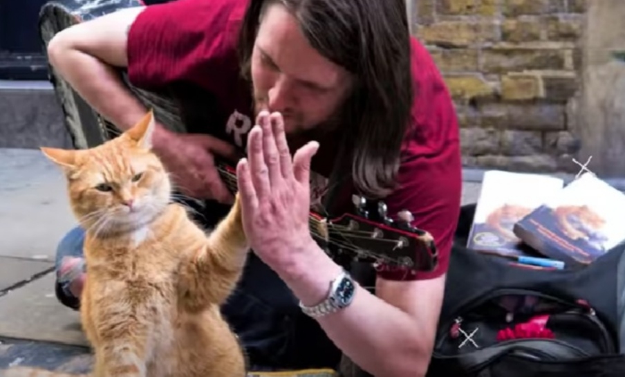 Kisah Inspiratif Persahabatan James dan Kucing, Berhasil Berhenti Narkoba hingga Menjadi Kaya