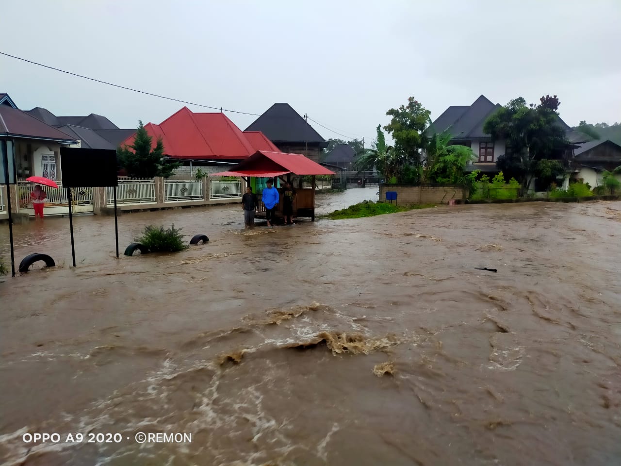 Banjir di Kerinci, Seekor Kerbau Hanyut Terseret Arus 