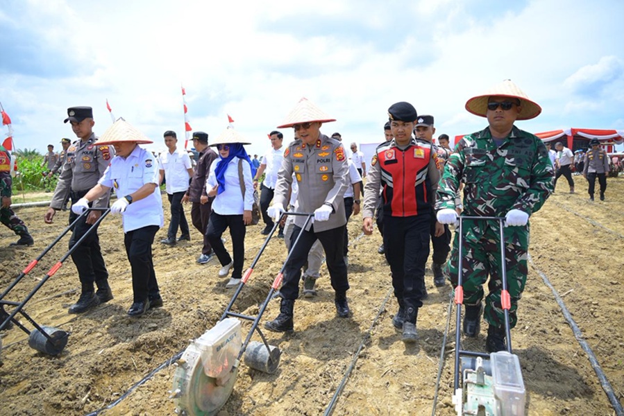PT Brahma Binabakti Dukung Ketahanan Pangan, Kembali Berkontribusi dalam Tanam Jagung Serentak Kuartal IV