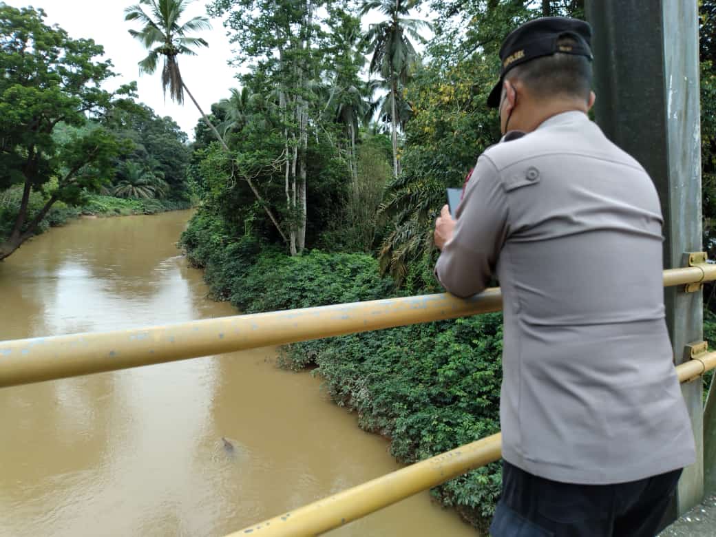 Warga di Sekitar Sungai Pangean Bungo Resah, Belakangan Kerap Muncul Buaya