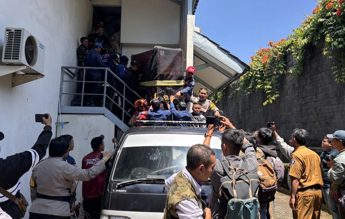 Macan Tutul Masuk Hotel di Bandung, Kini Diobservasi di Lembang Park Zoo Sebelum Direhabilitasi