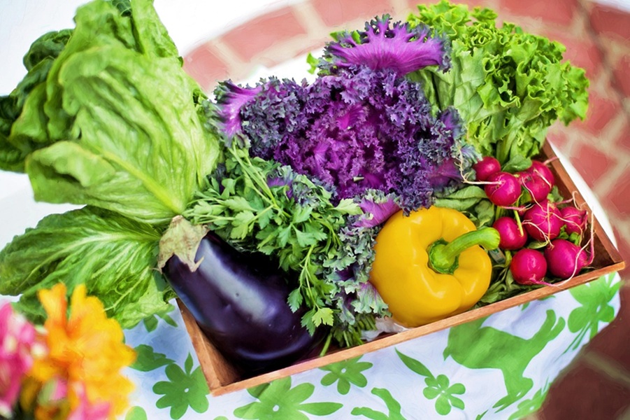 Kamu Malas Makan Sayur? Simak Manfaat Sayur untuk Kesehatan Kamu