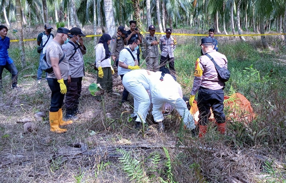 Geger! Mayat Pria Lansia Ditemukan Membusuk di Area Kebun Kelapa Tanjab Timur, Tinggal Sendirian di Pondok