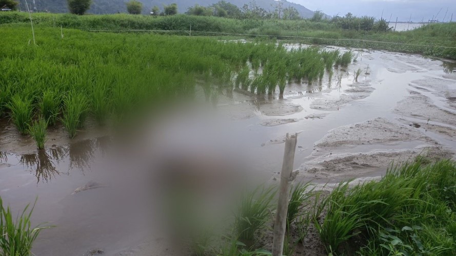 BREAKING NEWS: Warga Temukan Mayat Tanpa Identitas di Tepi Danau Kerinci, Begini Kondisinya