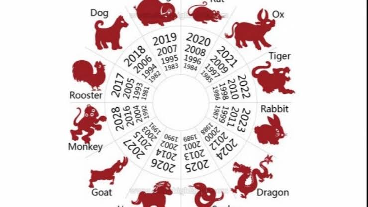 Ini 5 Shio Nyaris Tak Pernah Santai, Fokus Kerja dan Target 