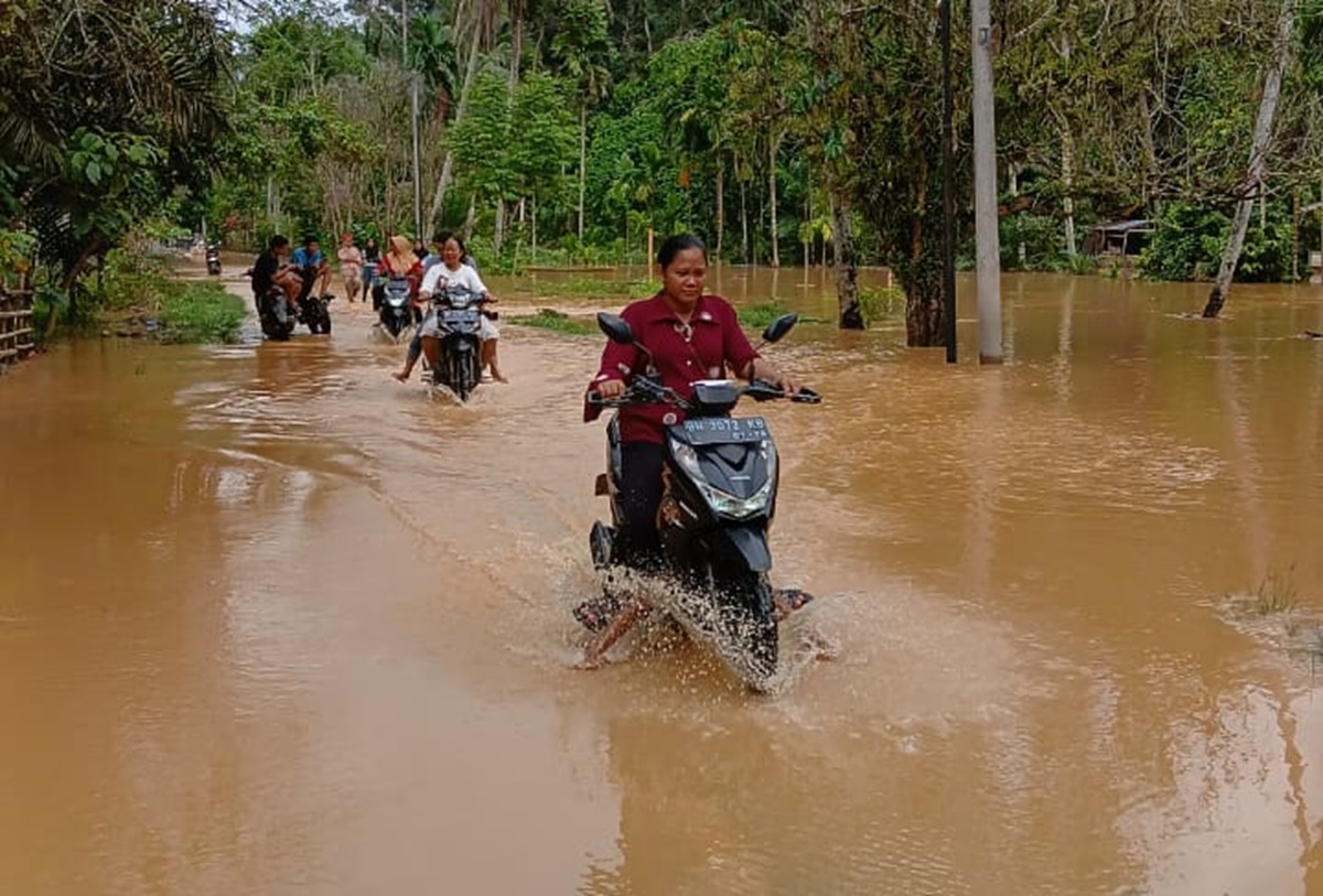 Banjir di Bungo saat Pemungutan Suara Pilkada 2024 Rendam 15 Rumah, Warga Kesulitan Capai TPS