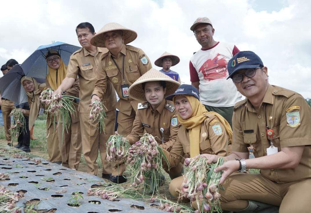 Tinjau Lahan Pertanian, Wawako Diza Apresiasi Poktan Manfaatkan Lahan