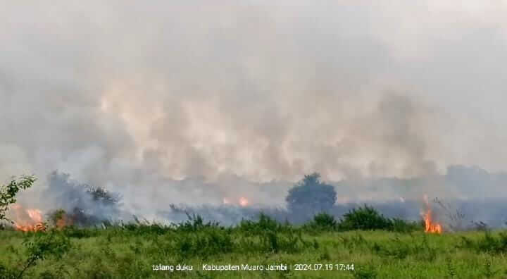 BREAKING NEWS : Dalam Sehari Tiga Lokasi Lahan di Muaro Jambi Terbakar, Ini Penjelasan BPBD