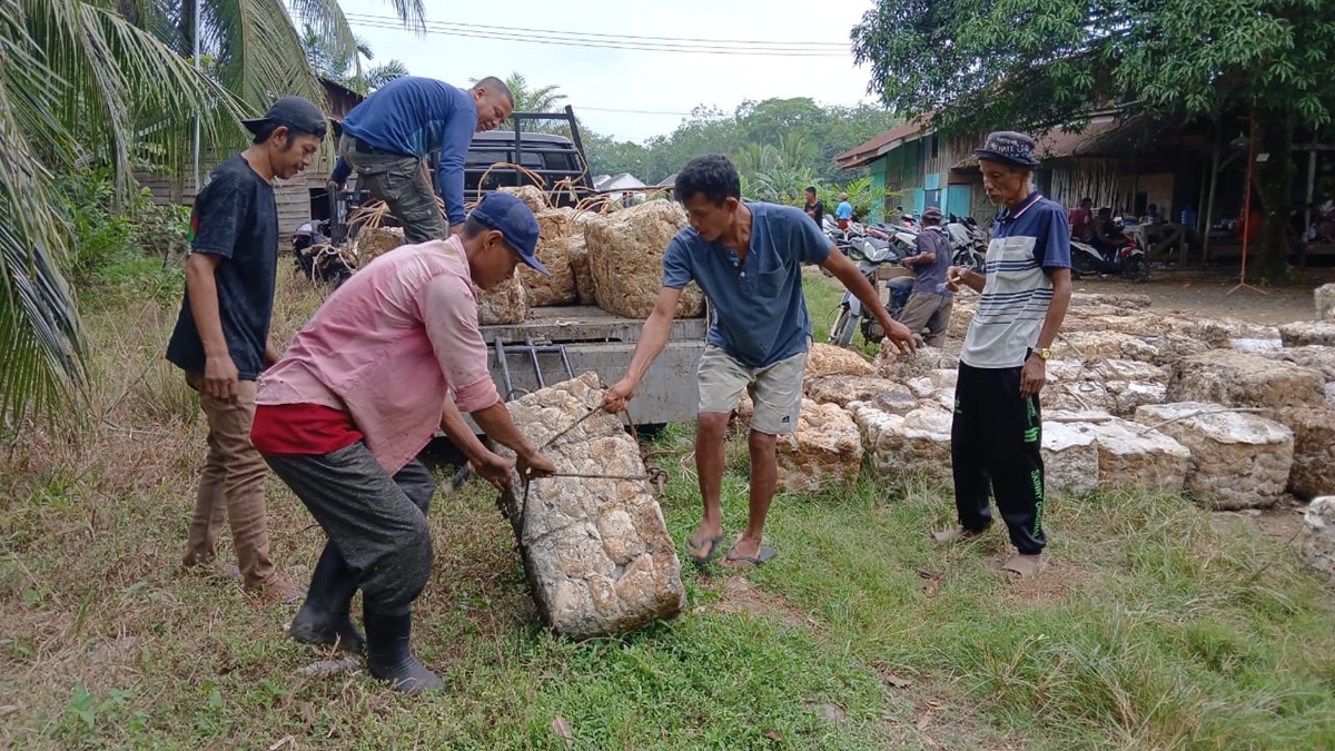 Harga Karet Naik Segini, Petani di Bungo Senang 