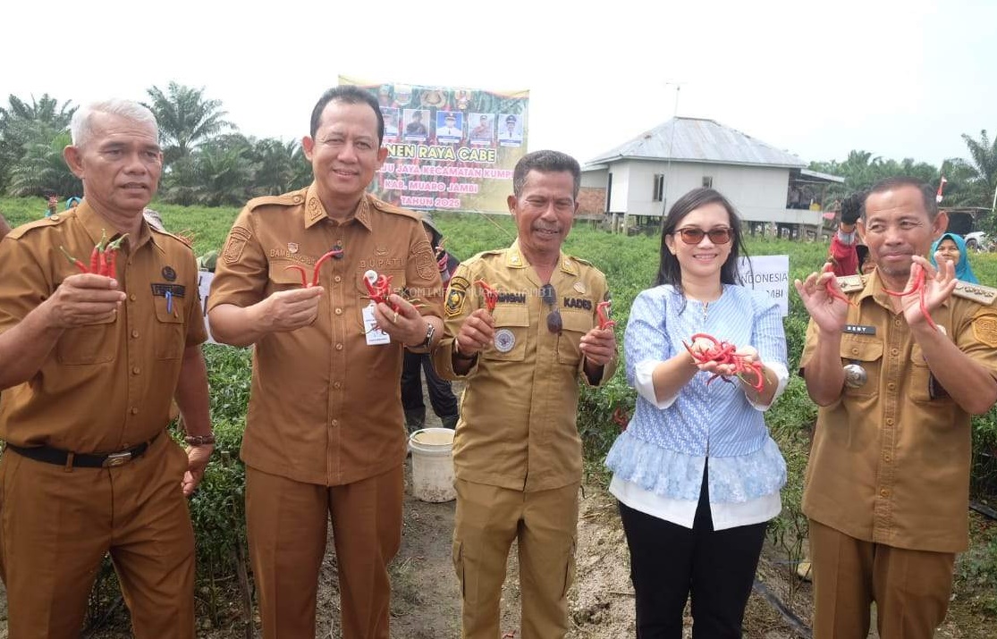 Bupati Muaro Jambi Hadiri Panen Raya ke-13 di Desa Maju Jaya, Dukung Program Pengendalian Inflasi