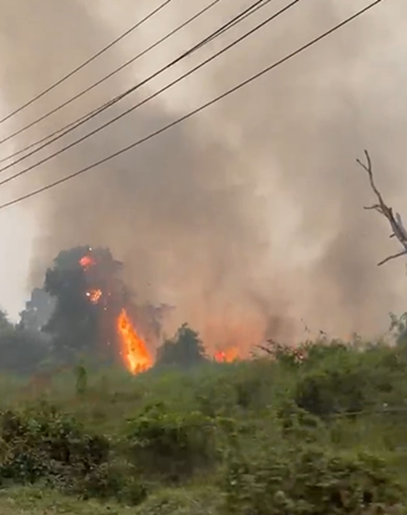 Karhutla di Penyengat Rendah, Kobaran Api Bakar Lahan dan Asap Pekat Membumbung
