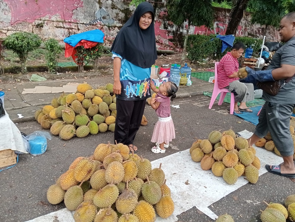 Berburu Durian di Kabupaten Bungo, Stok Melimpah Harga Pun Bervariasi