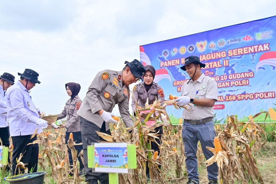 Polda Jambi Gelar Panen Raya Jagung Serentak Kuartal II 2026, Dukung Program Ketahanan Pangan Nasional