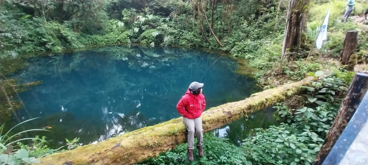 Serunya AOPGI Merangin Tanam Pohon dan Telusuri Alam Gunung Masurai Via Desa Tanjung Mudo