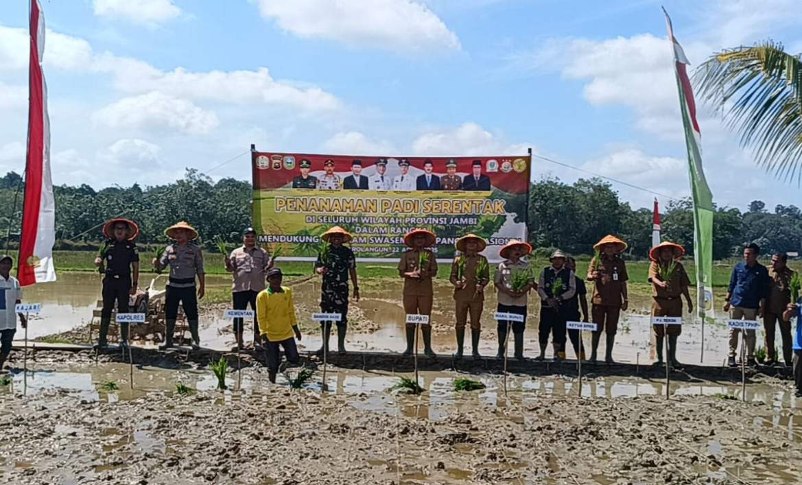 Tanam Padi Serentak Provinsi Jambi, Kabupaten Sarolangun Siapkan Lahan Sawah 3977,86 dan Ladang 4873 Hektar