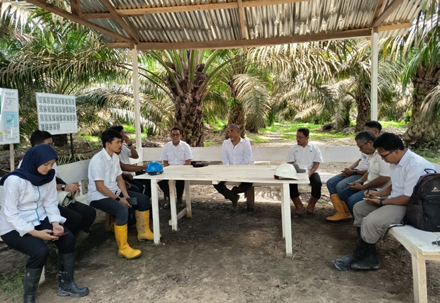 Kebun PTPN IV Regional IV Utamakan Operational Excellence 