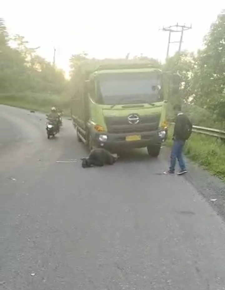 Kecelakaan di Jalan Lintas Timur Tanjab Barat, 2 Pemotor Tewas Dilindas Truk