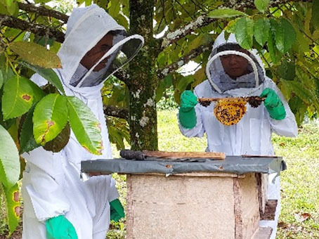 Pendampingan Budidaya Lebah Madu di Desa Jujun, Kabupaten Kerinci