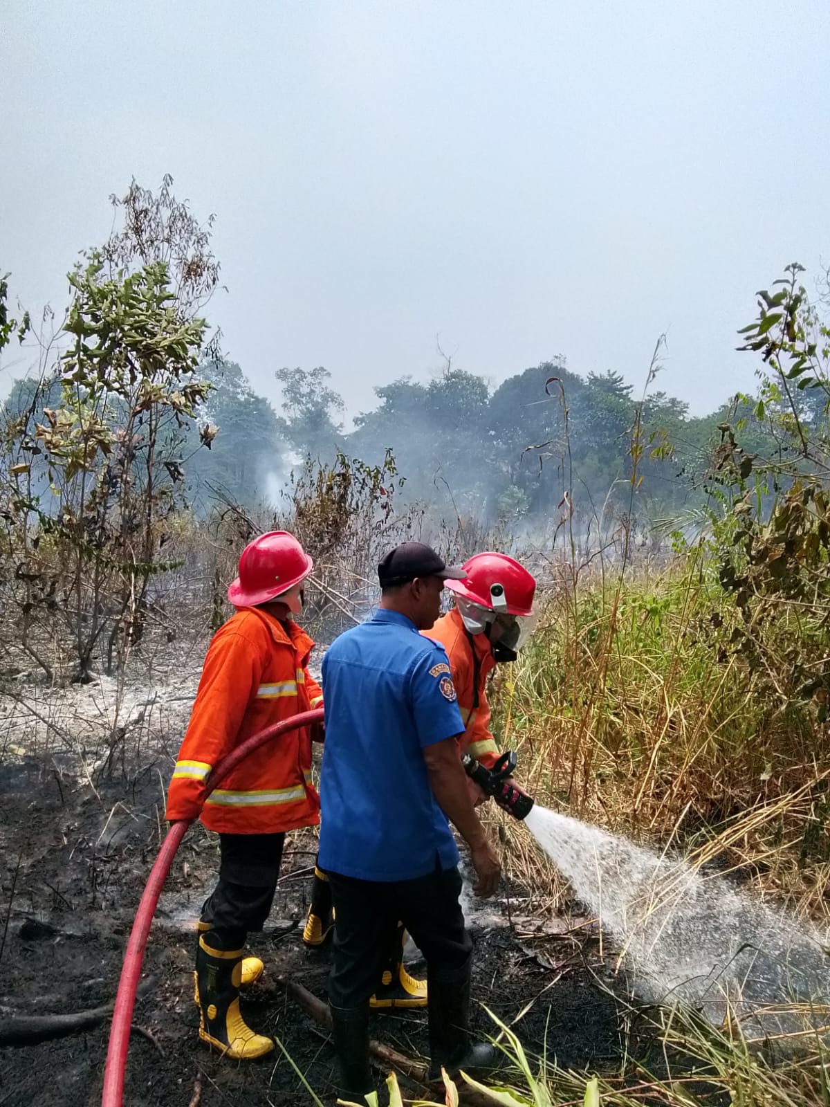 Lagi dan Lagi, Kebakaran Lahan Terjadi di Desa Bukit Baling Muaro Jambi