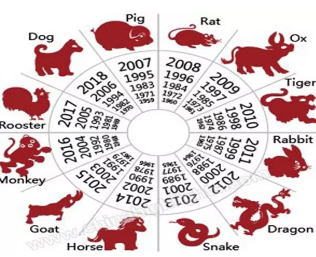 Beda dengan Zodiak, Ini 12 Hewan Dalam Shio, Ada 3 yang Beruntung di Tahun 2023