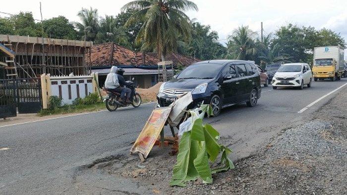 Sering Rusak dan Sebabkan Kecelakaan, Jalan Lintas Timur di Sekernan, Kabupaten Muaro Jambi Ditanami Pisang