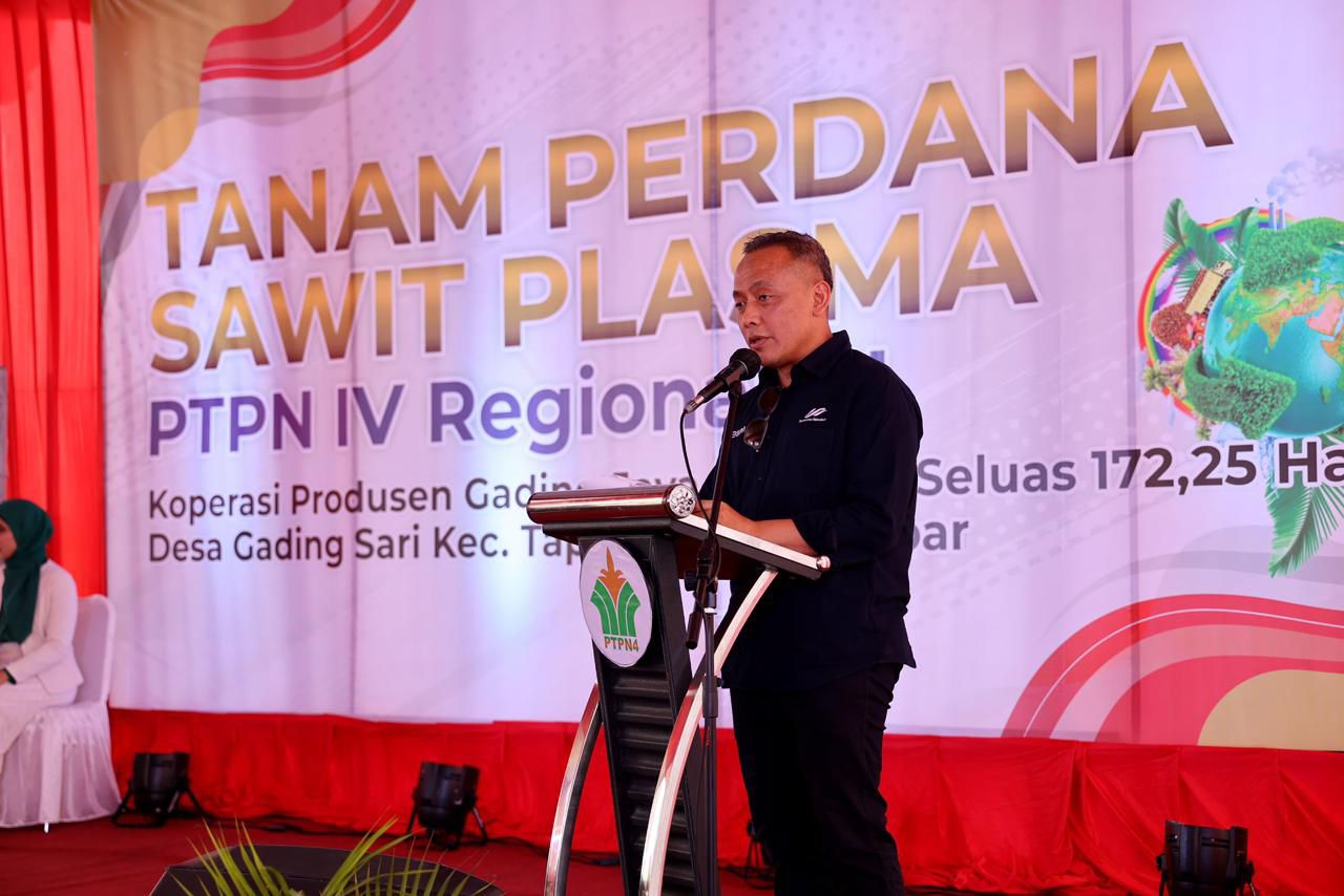 PTPN IV PalmCo Targetkan 2,1 Juta Bibit Unggul Diserap Petani Hingga 2024, Begini strateginya