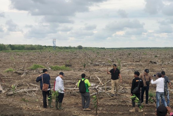 Tanam Sawit di Bibir Pantai Sadu, Pemilik Lahan Siap Bertanggung Jawab