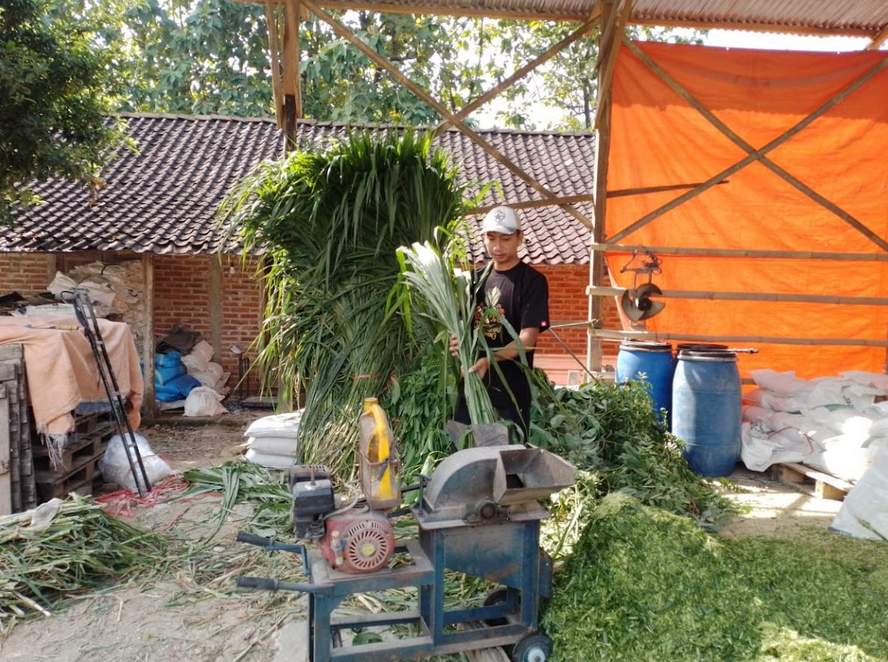 Kisah Pengusaha Pakan Ternak dari Ponorogo Ini Buktikan KUR BRI Bisa Bikin Usaha Berkembang