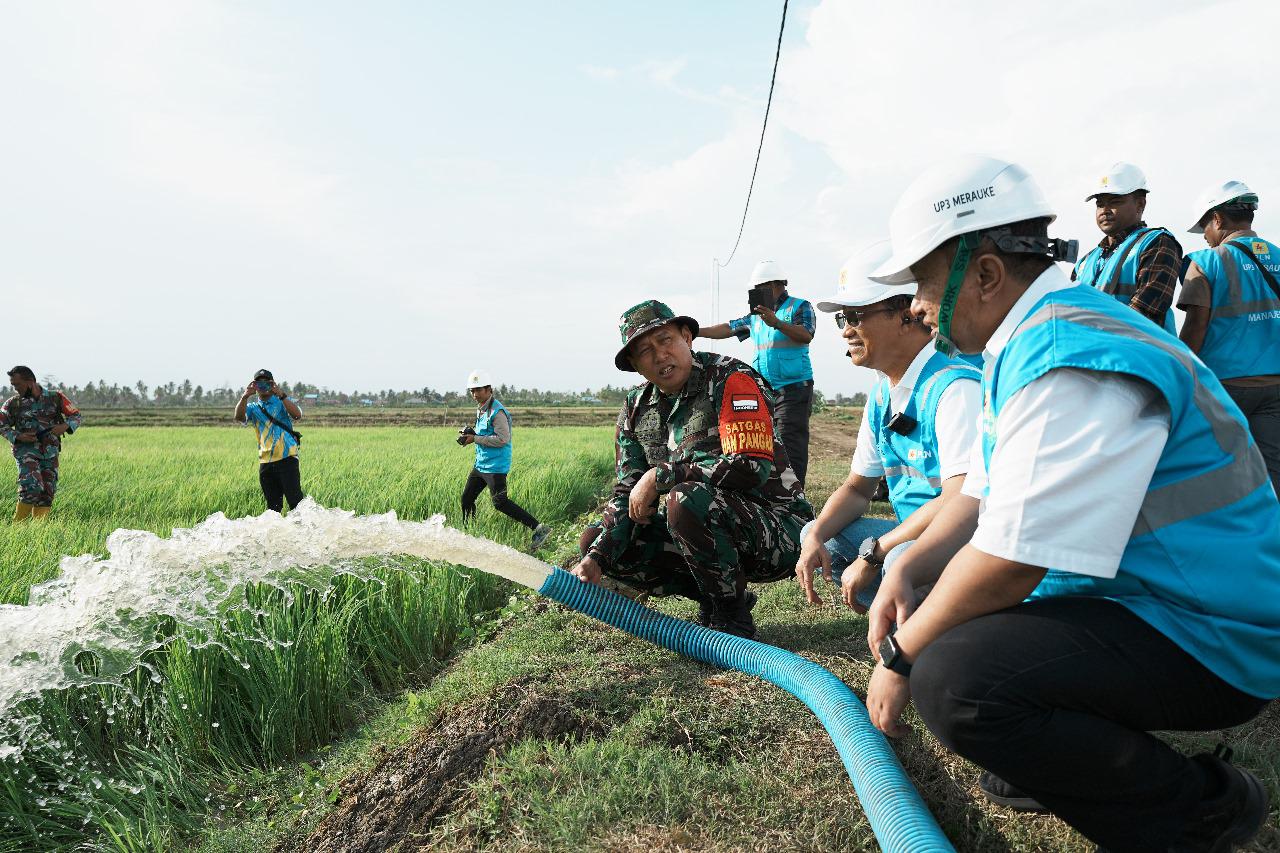 Dukung Pengembangan Pertanian di Merauke, PLN Listriki Area Sawah Garapan Kementan-TNI