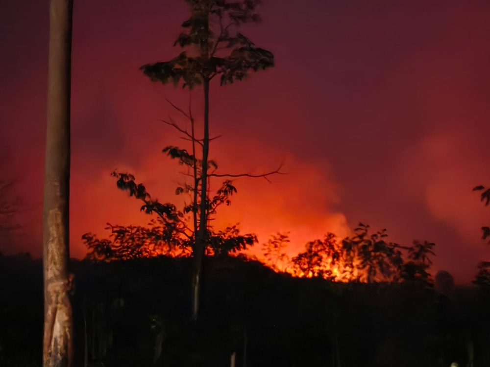 Tahura Batang Hari Membara Malam Ini! Langit Memerah, Petugas Berjibaku Padamkan Api