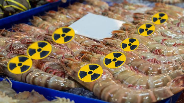 Waduh! Ini Fakta di Balik Temuan Radioaktif pada Udang dan Cengkeh Asal Indonesia