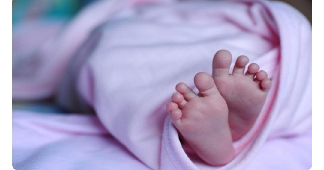 Silahkan Disimak Ini Syarat Dan Ketentuan Daftarkan Bayi Baru Lahir Ke Bpjs Kesehatan