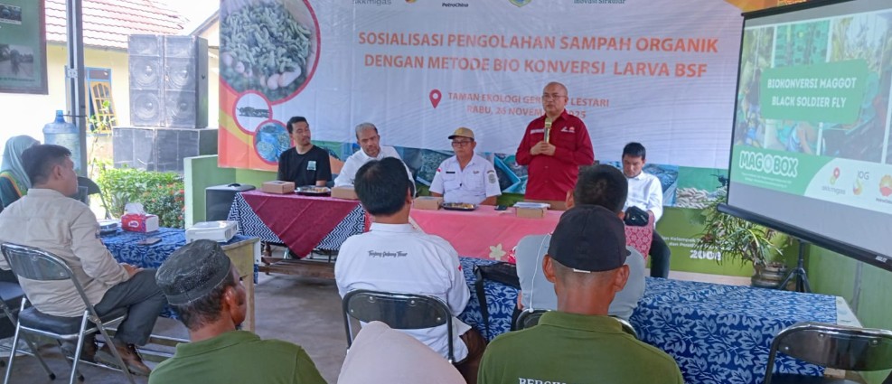 Kelompok Tani Suka Maju, Dapat Pelatihan Pengolahan Sampah Organik Bio Konversi Larva BSF SKK Migas PetroChina