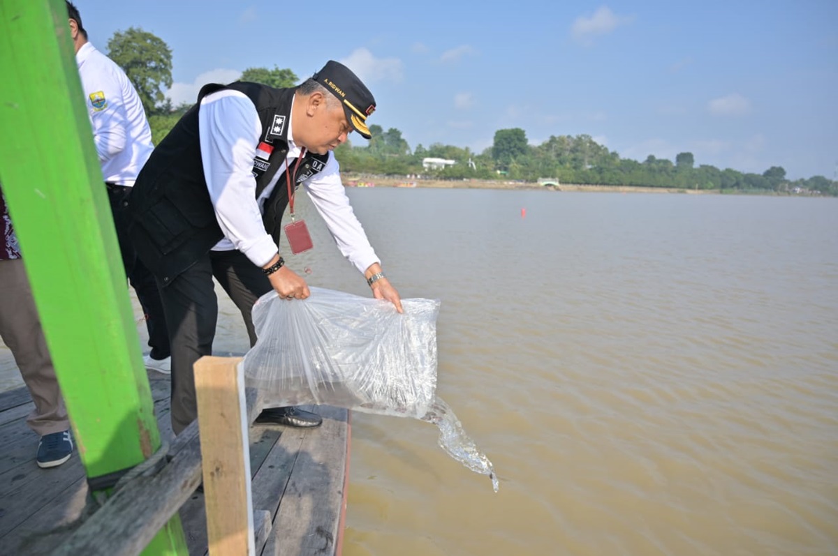 Pemkot Jambi Tebar 22.550 Benih Ikan Gurame di Kawasan Wisata Danau Sipin
