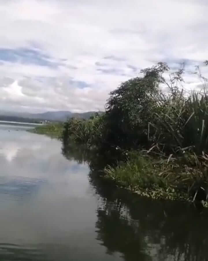 BREAKING NEWS : Muncul Pulau Baru di Danau Kerinci, Luas 2 Hektar, Ini Penjelasan UPTD Pariwisata Kerinci