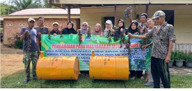 Pemanfaatan Limbah Jernang Tingkatkan Produksi Petani di Sarolangun