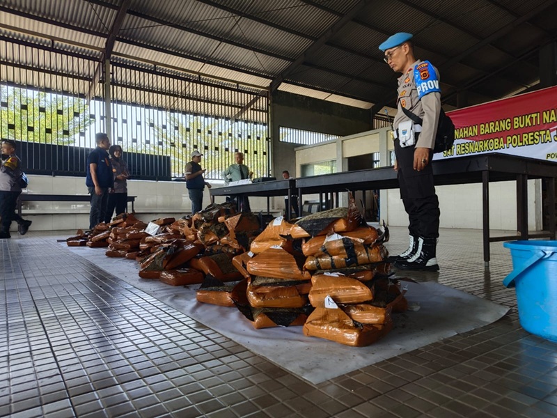 Satresnarkoba Polresta Jambi Musnahkan 194,7 Kilogram Ganja, 10.012 Ekstasi, dan 7,8 Kilogram Sabu