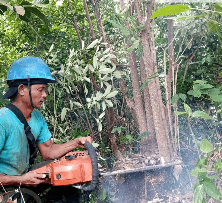 Tanggulangi Pemadaman, PLN ULP Kota Baru Laksanakan Right of Way