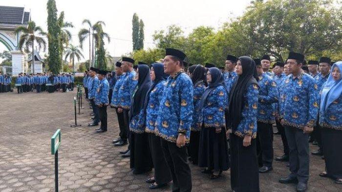 Pemkab Batanghari Buka Pendaftaran CPNS untuk 110 Formasi, Imbau Pendaftar Hatihati Saat Upload    