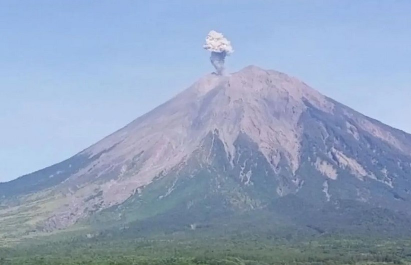 Gunung Semeru Erupsi Dua Kali dalam Sehari, Kolom Abu Mencapai 500 Meter!