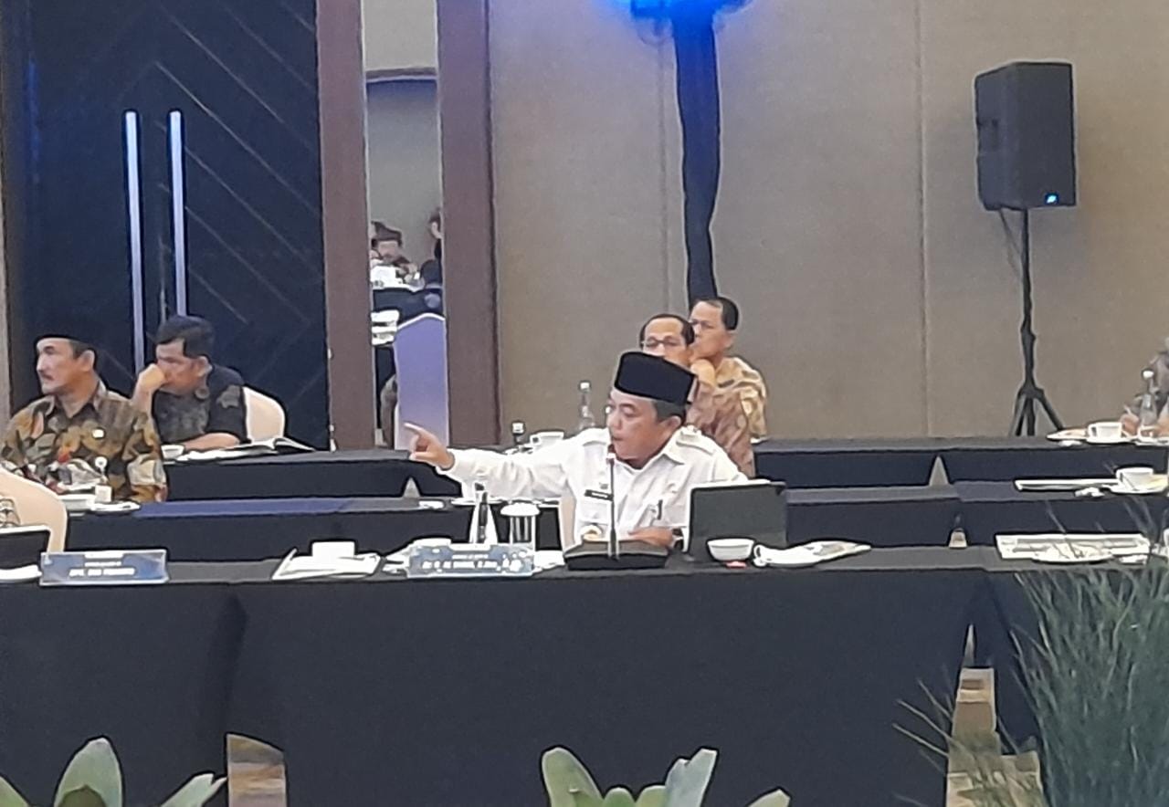 Dihadapan Komisi XI DPR RI, Gubernur Jambi Al Haris Sampaikan Rencana Pengendalian Inflasi