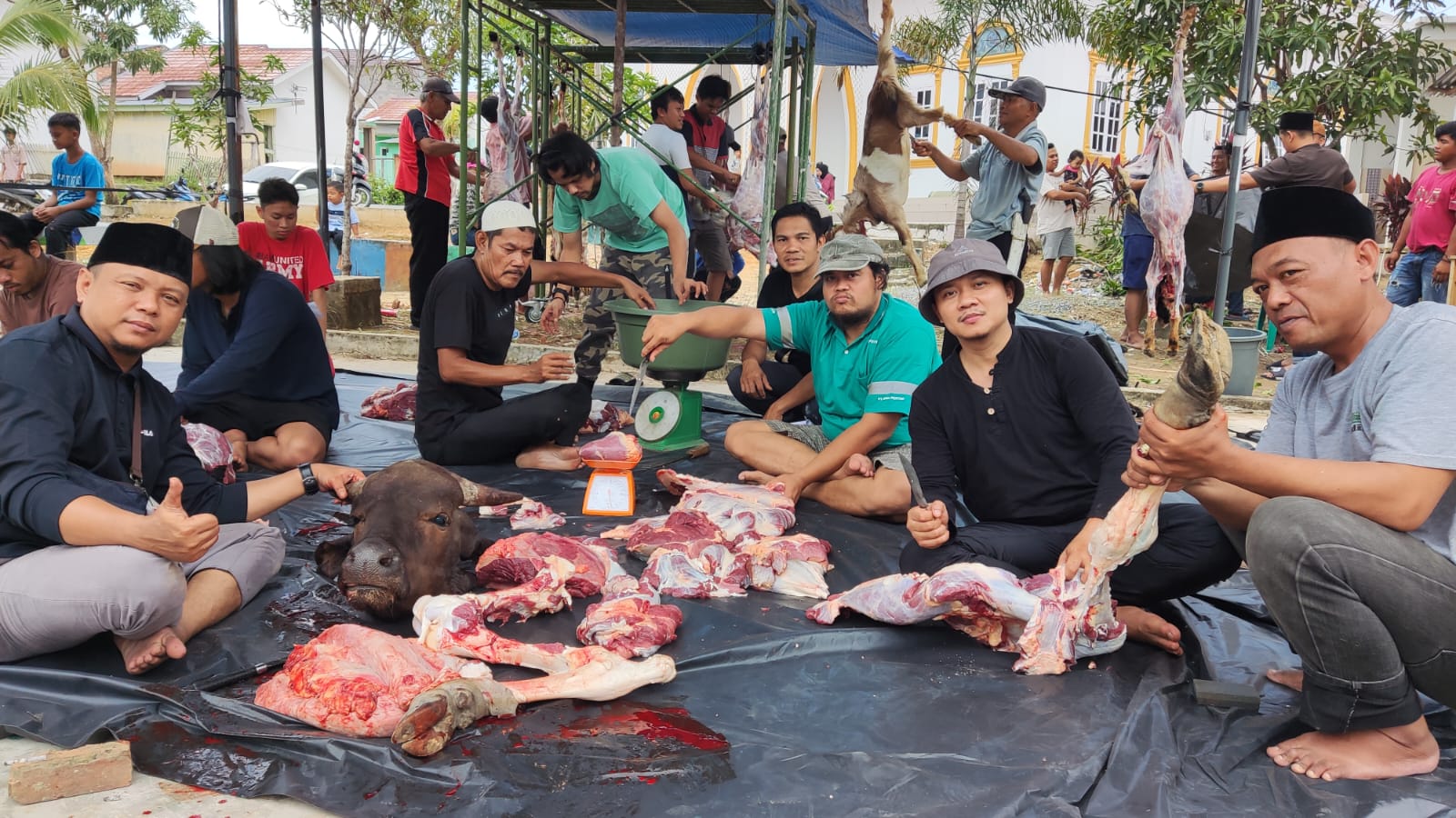 Masjid Asy-Syarif Perumahan Bumi Mayang Kota Jambi Kurban 3 Ekor Sapi dan 10 Kambing