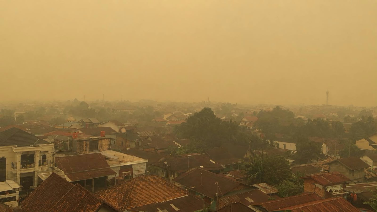 Waspada! Tanjab Timur Dikepung 600 Titik Panas