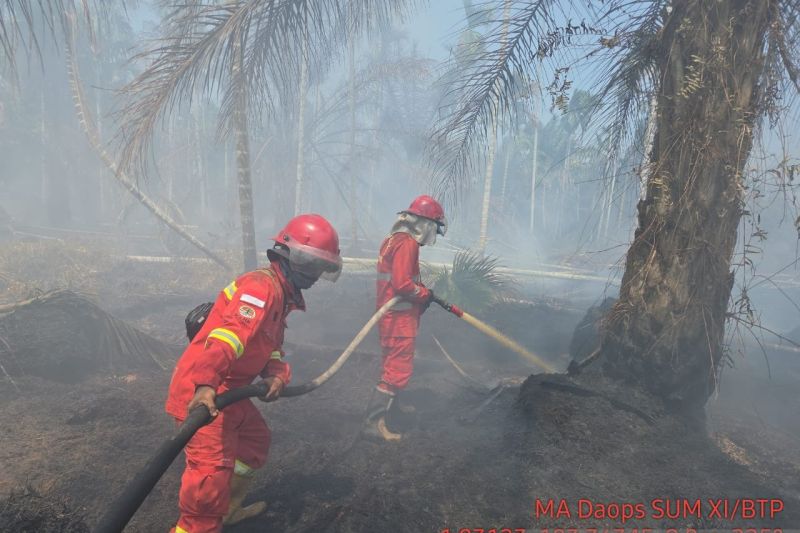 Karhutla Jambi! 658,29 Hektare Lahan Terbakar, 62 Kasus dalam Proses Hukum