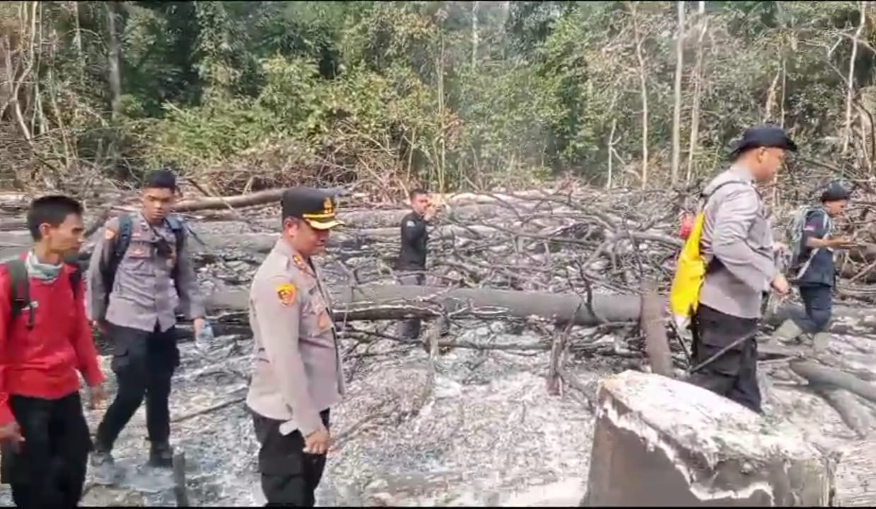 Lahan Konsesi PT ABT di Kecamatan Sumay Kabupaten Tebo Terbakar, Polisi Buru Pelaku