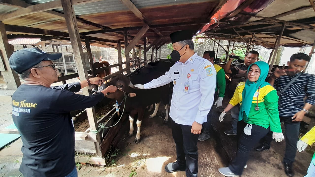 Antisipasi PMK, 1.200 Hewan Ternak di Kota Jambi Divaksin