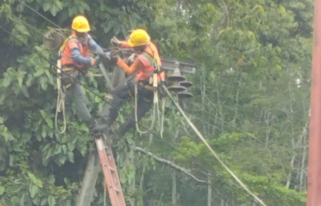 Tingkatkan Kehandalan Jaringan Listrik di Rantau Pandan, PLN ULP Rimbo Bujang Gelar Program GOES'R