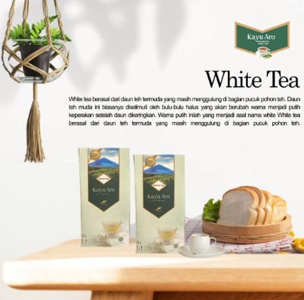 Miliki Banyak Manfaat, PTPN VI Mulai Pasarkan White Tea